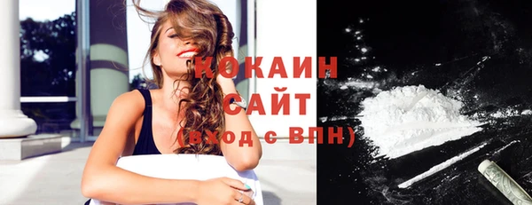 спиды Богородицк