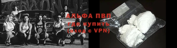спиды Богородицк
