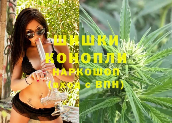 гидропоника Богданович