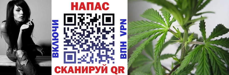Бошки Шишки гибрид  Берёзовский 